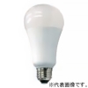 アップルツリー 【生産完了品】LED電球 40W相当 電球色 E26口金 HD0526AD3