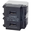 TERADA(寺田電機製作所) 埋込USB給電用コンセント 2ポート Type-A ブラック USB-R3701BK