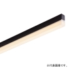 DNライティング 【受注生産品】LEDライン照明器具 《TRIM LINE》 光源交換型 長さ1050mm 4000lmクラス PWM調光 昼白色 スクエア型カバー 黒 【受注生産品】LEDライン照明器具 《TRIM LINE》 光源交換型 長さ1050mm 4000lmクラス PWM調光 昼白色 スクエア型カバー 黒 TRE2-1050N-BK-APL 画像1