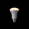 ヤザワ R63レフ形LED電球 電球色 E26 非調光タイプ LDR5LH