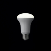 ヤザワ R63レフ形LED電球 昼白色 E26 非調光タイプ R63レフ形LED電球 昼白色 E26 非調光タイプ LDR5NH 画像1