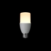ヤザワ T形LED電球  100W形相当  E26  電球色 T形LED電球  100W形相当  E26  電球色 LDT13LG 画像2