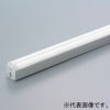 DNライティング 屋外用LEDライン照明器具 《Seamlessline》 光源一体型 長さ850mm ナロー配光タイプ PWM調光 電球色(2800K) 屋外用LEDライン照明器具 《Seamlessline》 光源一体型 長さ850mm ナロー配光タイプ PWM調光 電球色(2800K) SO4-LEDN850L28-FPD 画像1