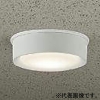 DAIKO LED軒下シーリングライト 防雨形 白熱灯100W相当 非調光タイプ LED9.2W 電球色 拡散パネル付 白 LED軒下シーリングライト 防雨形 白熱灯100W相当 非調光タイプ LED9.2W 電球色 拡散パネル付 白 DWP-40249Y 画像1