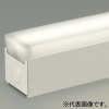 DAIKO LED間接照明用器具 ≪ダブルライン≫ 天井・壁(横向)・床付兼用 調光タイプ LED48W 電球色 長さ1500mm LED間接照明用器具 ≪ダブルライン≫ 天井・壁(横向)・床付兼用 調光タイプ LED48W 電球色 長さ1500mm DSY-4430YWG 画像1