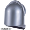 GFL-100M