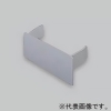 マサル工業 【受注生産品】エンド 2510型 グレー 《エルダクト付属品》 LDE221