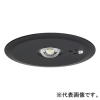 パナソニック 非常用照明器具 専用形 埋込型 LED低天井・小空間用(〜3m) 30分間タイプ ハロゲン電球9形相当 昼白色 埋込穴φ100mm 電池内蔵形 ブラック NNFB90645Z
