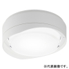 パナソニック 【受注生産品】防雨型シーリングライト 非常用照明器具 ブラケット兼用型 階段通路誘導灯兼用型 壁・天井直付型 30分間タイプ 高光束タイプ FCL30形1灯器具相当 フードタイプ 非調光 温白色 ホワイト NWCF18123LE1