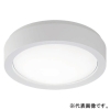 パナソニック 【受注生産品】防雨型シーリングライト ブラケット兼用型 壁・天井直付型 低光束タイプ FCL20形1灯器具相当 ベーシックタイプ 非調光 昼白色 ホワイト NWCF16105LE1